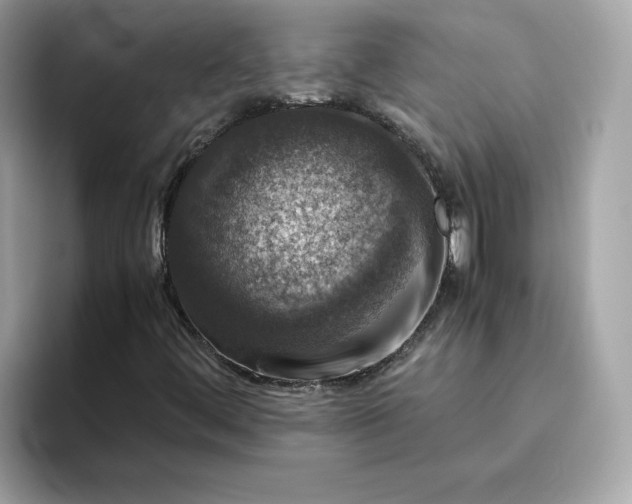 X0000094781444200711301536