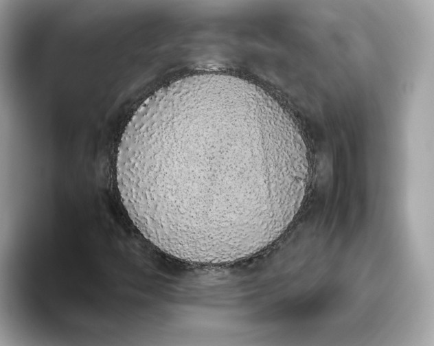 X0000094781446200711301536