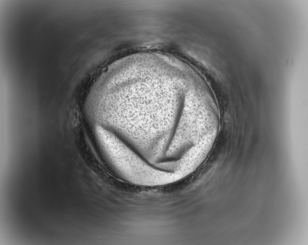 X0000094781447200711301536
