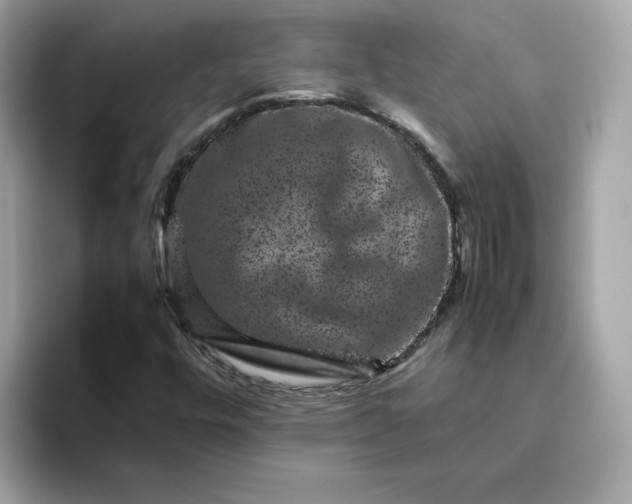 X0000094781448200711301536