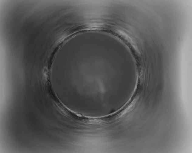 X0000094781449200711301536