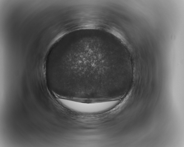X0000094781450200711301536