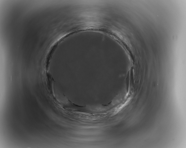 X0000094781453200711301536