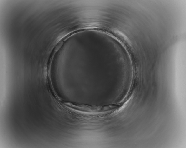 X0000094781457200711301536
