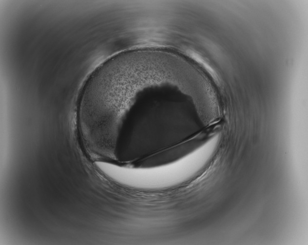 X0000094781459200711301536