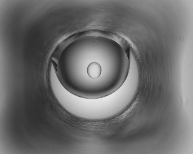 X0000094781461200711301536