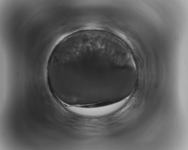 X0000094781463200711301536