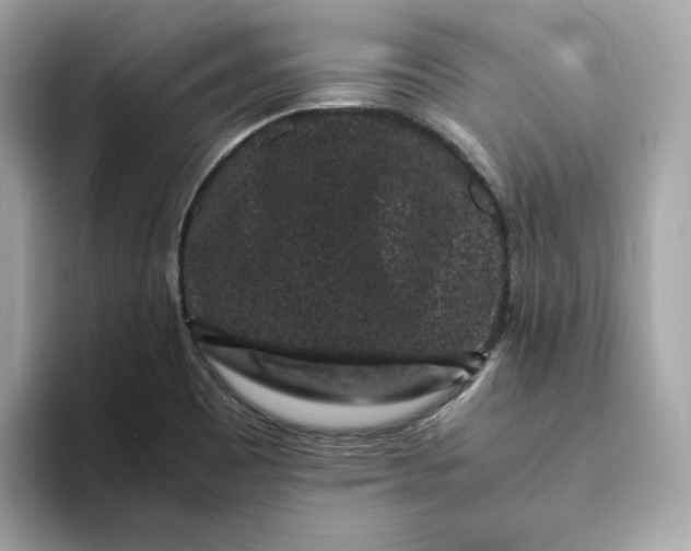 X0000094781465200711301536