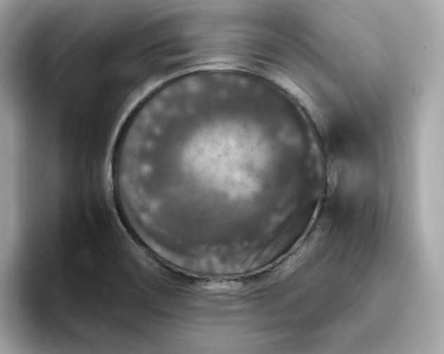 X0000094781466200711301536