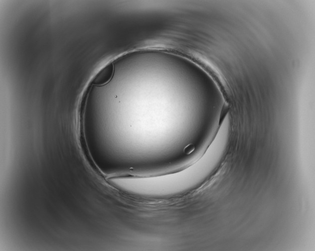 X0000094781467200711301536