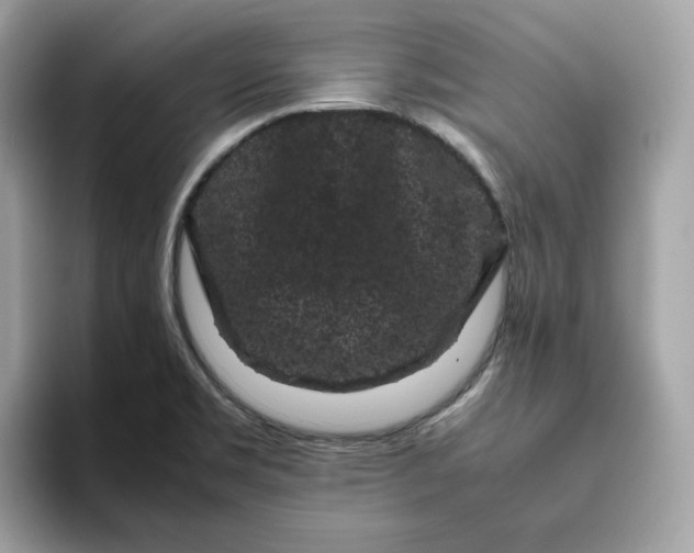 X0000094781469200711301536