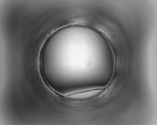 X0000094781471200711301536