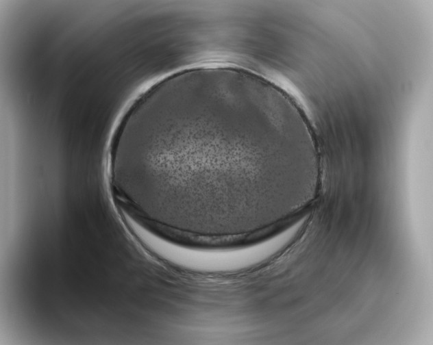 X0000094781472200711301536