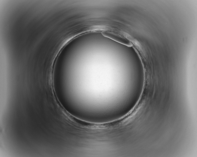 X0000094781473200711301536