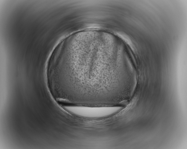 X0000094781475200711301536