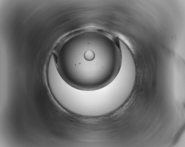 X0000094781476200711301536
