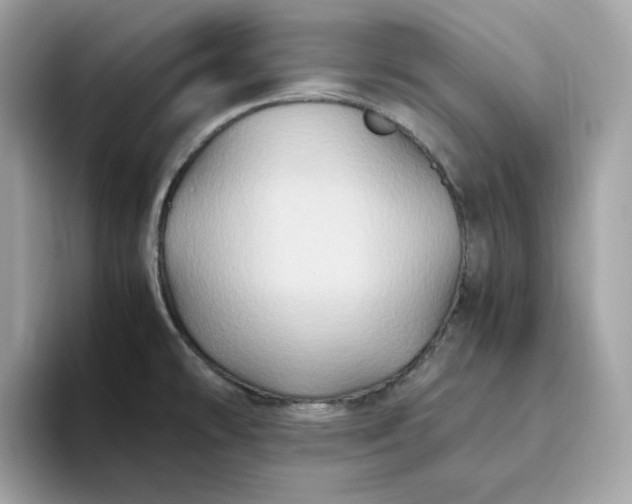 X0000094781478200711301536