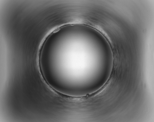 X0000094781480200711301536