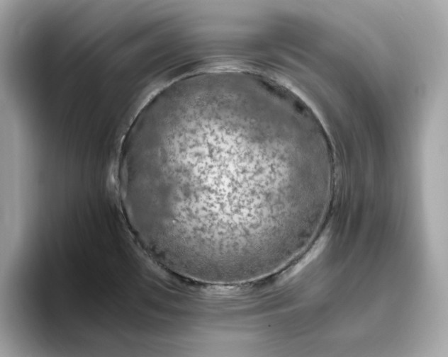 X0000094781481200711301536