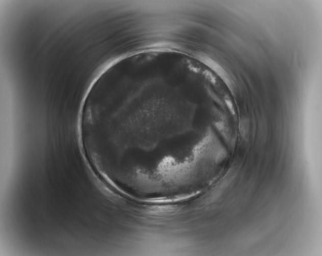 X0000094781482200711301536