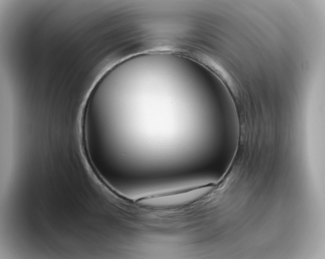 X0000094781483200711301536