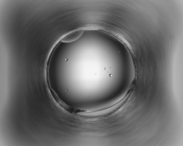 X0000094781484200711301536