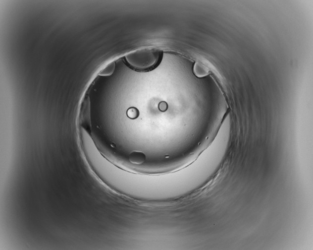 X0000094781487200711301536