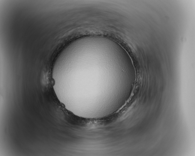 X0000094781490200711301535