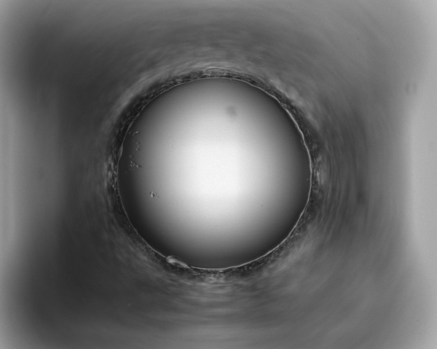 X0000094781495200711301535