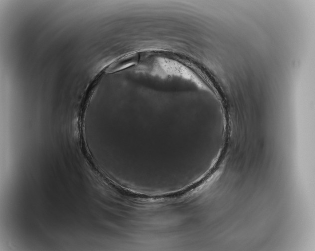 X0000094781497200711301535