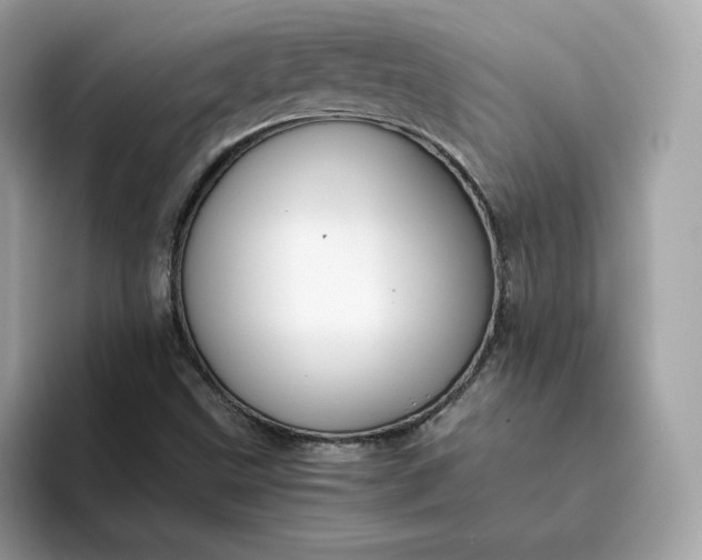 X0000094781499200711301535