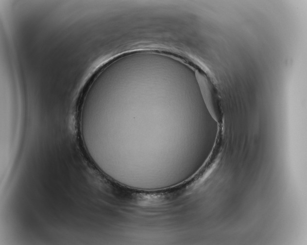 X0000094781501200711301535