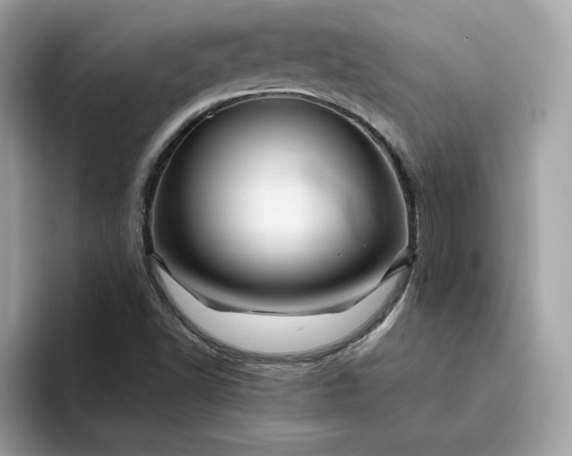 X0000094781502200711301535