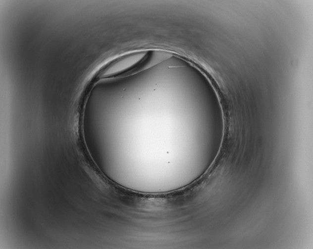 X0000094781503200711301535