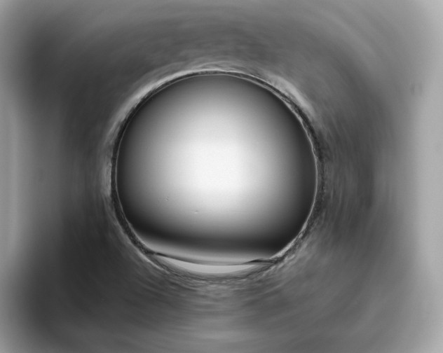 X0000094781504200711301535