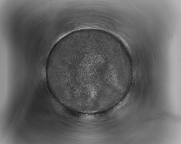 X0000094781505200711301536