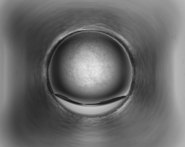 X0000094781506200711301536