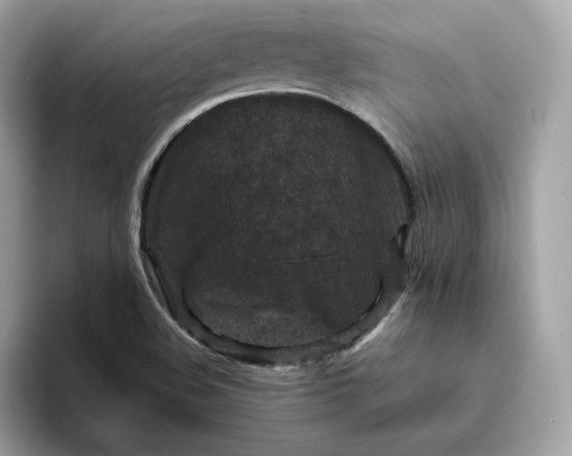 X0000094781508200711301536