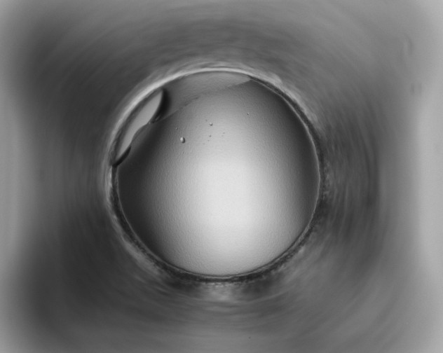 X0000094781511200711301536