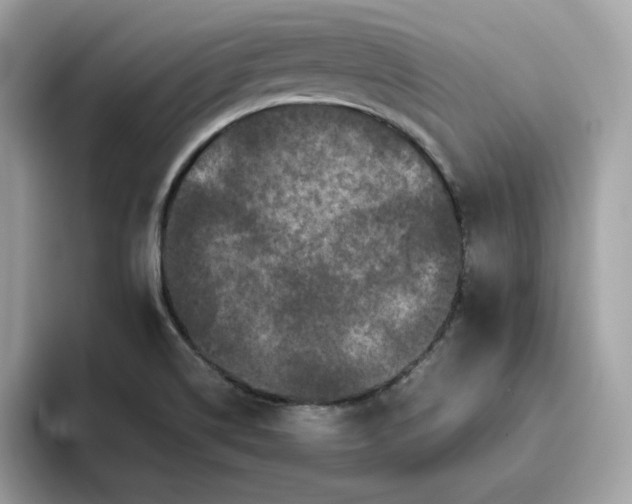 X0000094781514200711301536