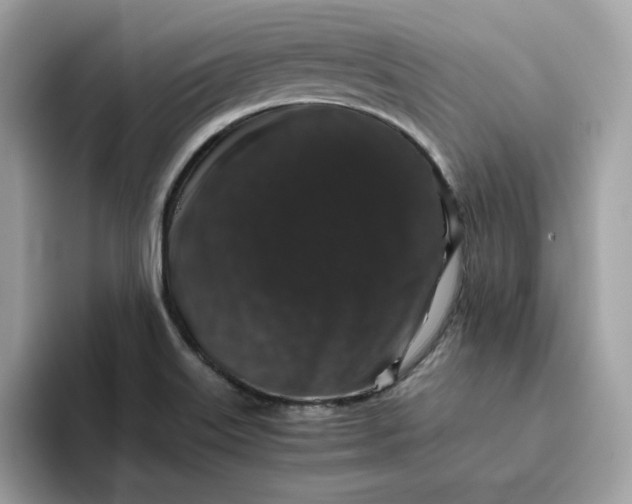 X0000094781515200711301536