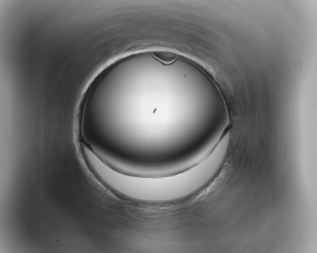X0000094781518200711301536