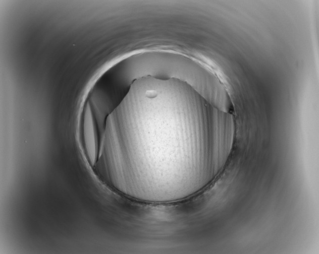 X0000094781520200711301536