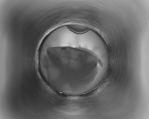 X0000094781522200711301536