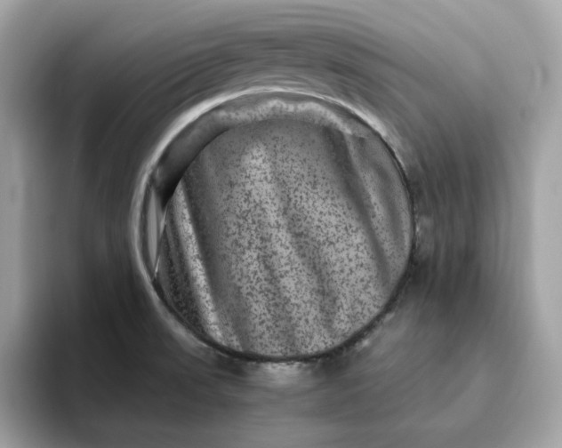 X0000094781523200711301536