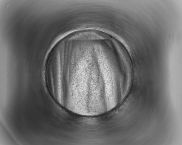 X0000094781525200711301536