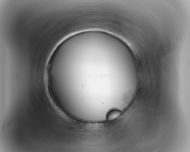 X0000094781526200711301536