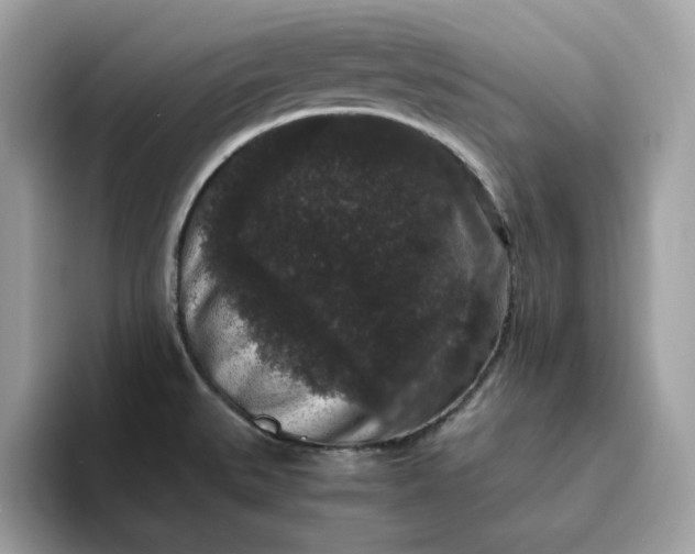 X0000094781527200711301536