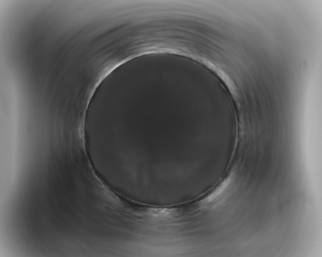 X0000094781529200711301536