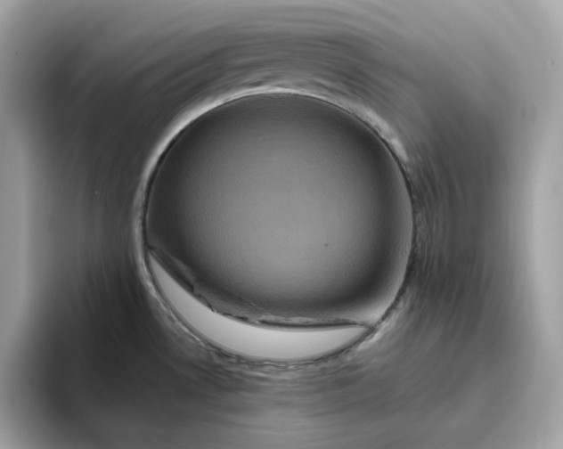 X0000094781530200711301536